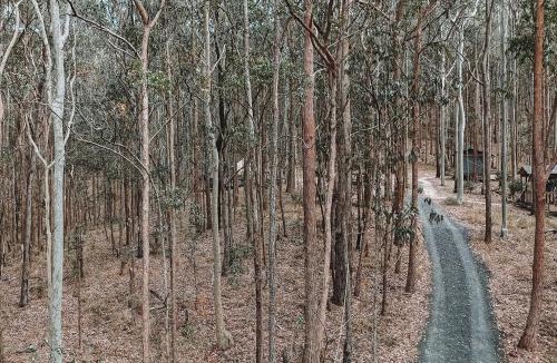 Wyee Other | Kookaburra Ridge