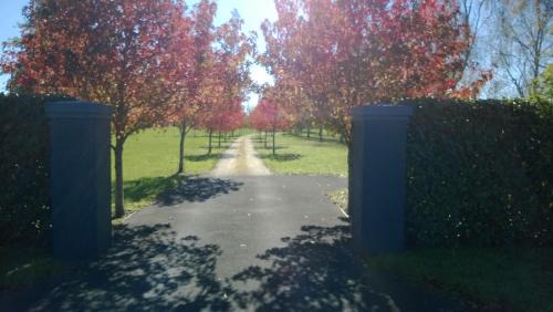 Tamahere Bed & Breakfast | Korbaylen Estate