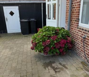 Ribe Apartment | Korsbrødregade 12