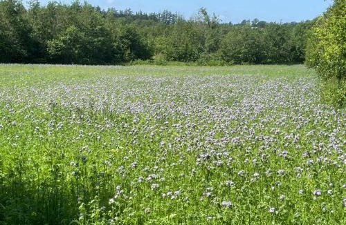 Sindal Apartment | Korsholt-natur 135 G
