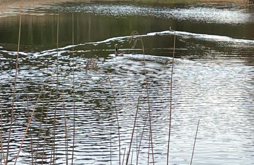 Sindal House | korsholt-natur B-B