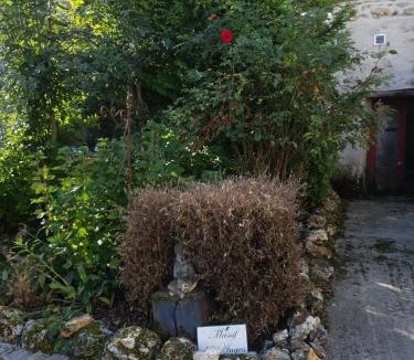 Morsains Other | Kotafinlandais