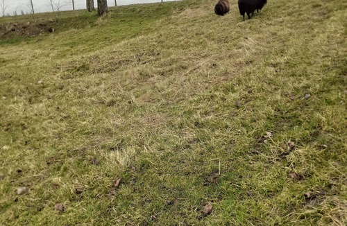 Oucques Ski Chalet | Kotta grill