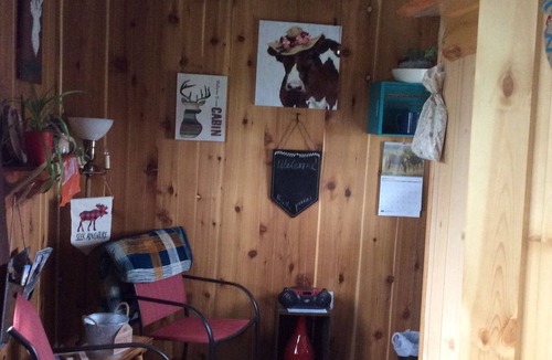 Newcastle Cabin | Krell’s Korral Tiny Cabin