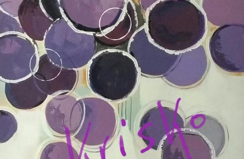 Armentieres House | KRISKO parking privé et clos