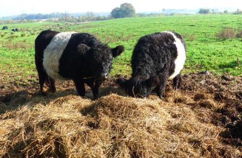 Tistrup House | Kristiansminde Farm Holiday