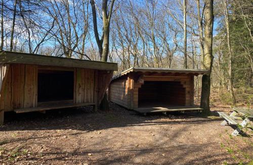 Grindsted Other | Krogager Primitiv Camping - Krogen