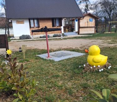 Gospic House | Kuća za odmor Antonija