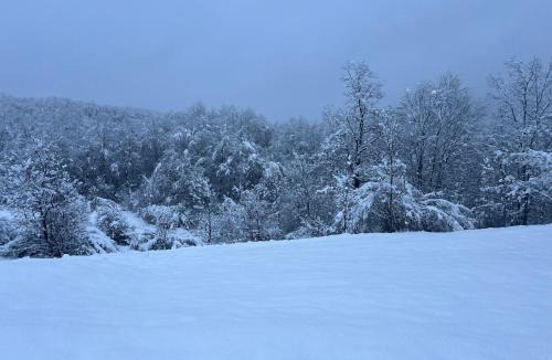Otocac Ski Chalet | Kuća za odmor LO