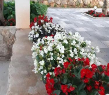 Necujam House | Kuća za odmor Neva