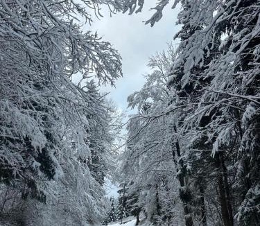 Jasenak Ski Chalet | Kuća za odmor Petra