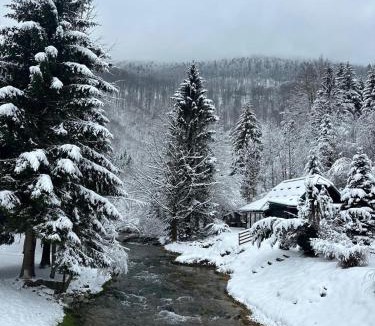 Jasenak Ski Chalet | Kuća za odmor Petra