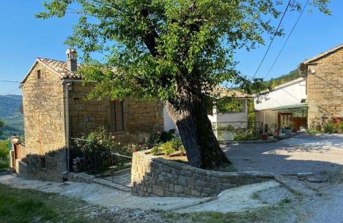 Sovinjska Brda Villa | Kuća Zanetta sa bazenom