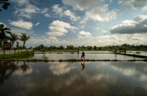 Pejeng Kawan House | Kubu Sari