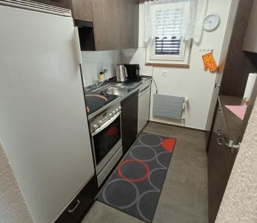 Taesch Apartment | Kummublick Täsch, Nähe Zermatt