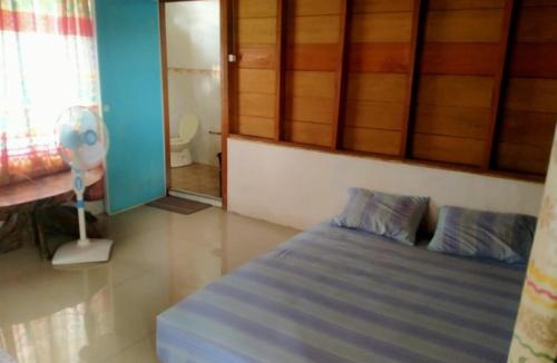 Pulau Masokut Hostel | Kutnalek Surf Camp Surfing barrels front E"bay,beng-beng,pistop,nipussi wave just minute with speed boat