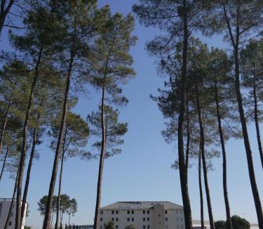 Saint-Avit Hotel | Kyriad Direct Mont De Marsan - St Avit