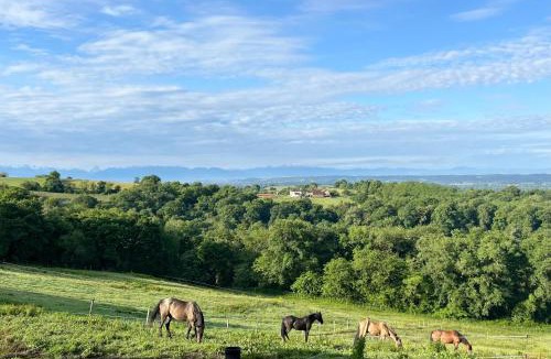 Fichous-Riumayou Bed & Breakfast | Là-haut à Candaü