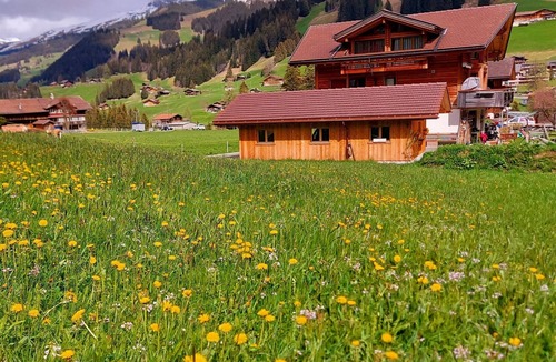 Adelboden Apartment | Lärchehuus by Interhome