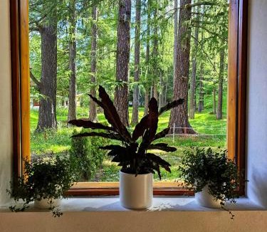 Oberwald Hotel | Lärchen Lodge