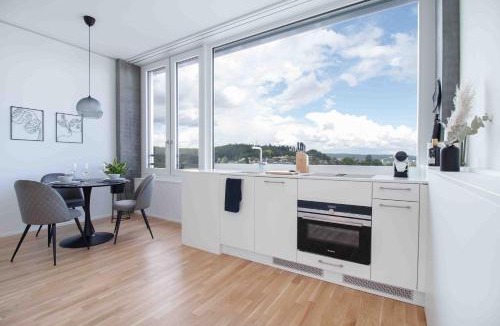 Neuhausen am Rheinfall Apartment | Löwe Apartments am Rheinfall