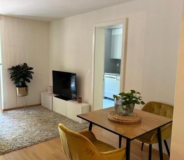 Lucerne Apartment | Löwen