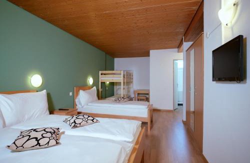 Ruetli Hotel | Löwen Lodge