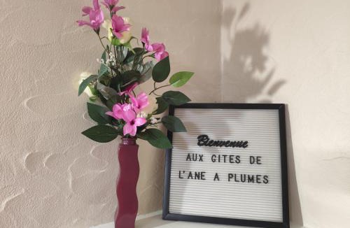 Coisia House | L'âne à plumes