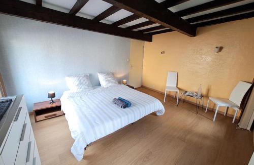Plaisance-du-Touch Apartment | L'échappée authentique- Maison centre-ville- véranda climatisée-jardin