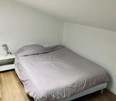 Albi Apartment | L'échappée belle d'Albi