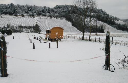 Spoy Cabin | l'échappée belle en Champagne