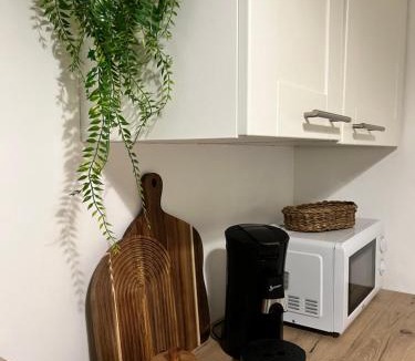 Epinal Apartment | L Échappée verte