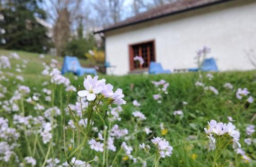 Gien Bed & Breakfast | L échappée verte