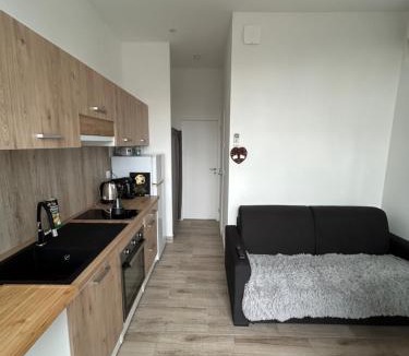 Nemours Apartment | L écluse