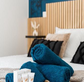 Annonay Apartment | L'écrin bleu