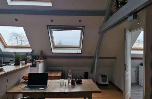 La Capelle-les-Boulogne Apartment | L écrin de la Capelle