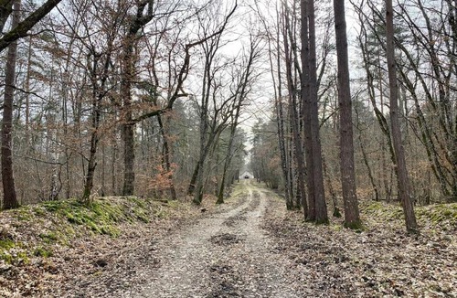 Ligny-le-Ribault House | L'écrin de la forêt