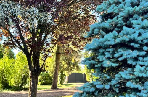Merville Hotel | L'Écrin de la Sapinière