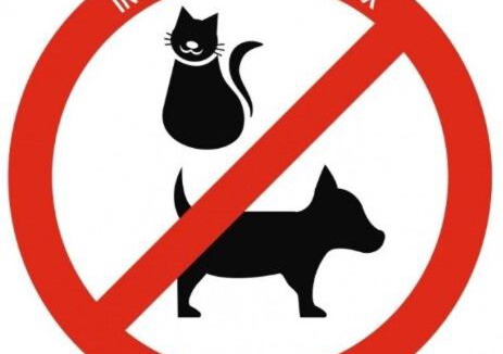 Antoigny House | L'Écrin Normand