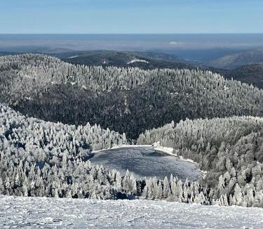 Xonrupt-Longemer Apartment | L'écureuil des lacs