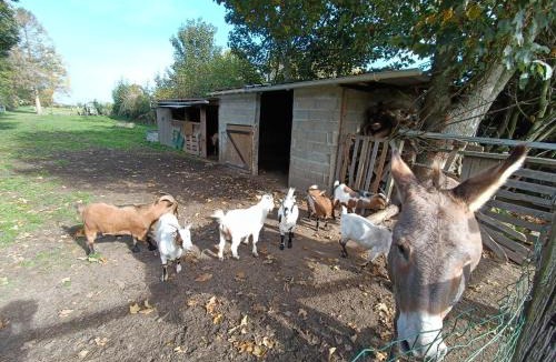 Meneslies House | L'écurie