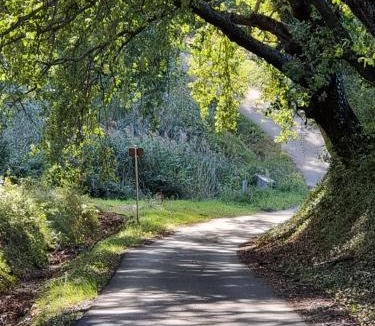 Mirabel-aux-Baronnies Apartment | L'éden des Baronnies