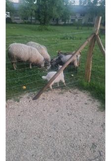 Ussac House | L'étang du griffolet 3