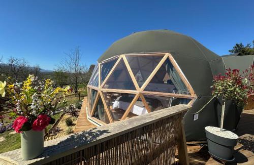 Asson Other | L'étoile du Béarn