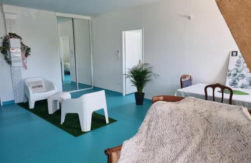 Limoges Apartment | L'éveil à la nature