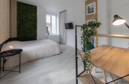 Vesoul Apartment | L'Évolution, 1 suite et jardin privé