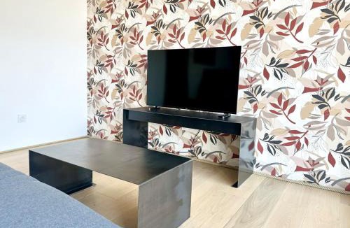 Mont-de-Marsan Apartment | L'Île Mystique - Central - Parking Privé - Neuf - Clim
