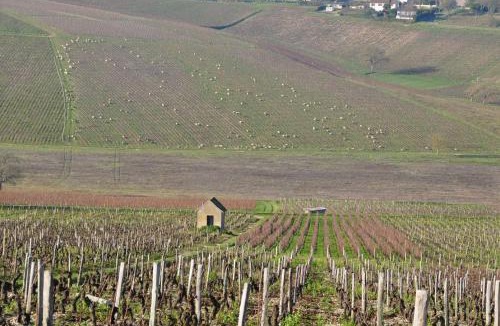 Saint-Satur Bed & Breakfast | l'abri du viaduc