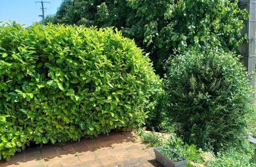 May-sur-Orne Apartment | L'ABRI