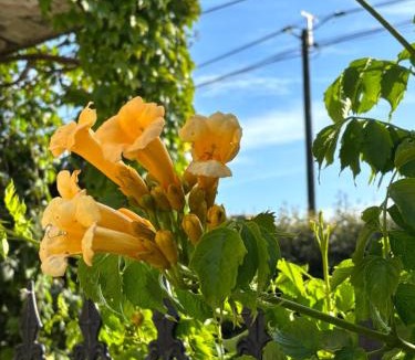 Hames-Boucres Apartment | L'aiguade 4